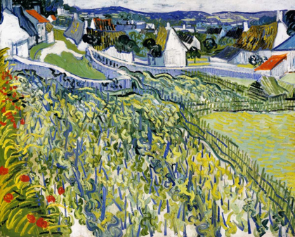 Picture of VINEYARDS AUVERS