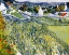 Picture of VINEYARDS AUVERS