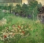 Picture of DAUBIGNYS GARDEN