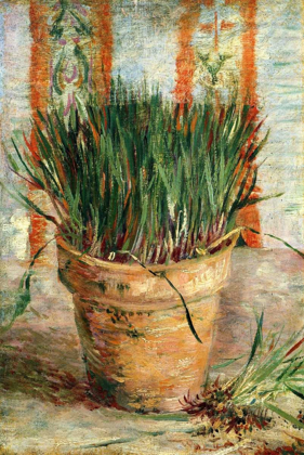 Picture of FLOWERPOT WITH CHIVES