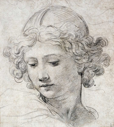 Picture of THE HEAD OF AN ANGEL