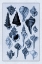 Picture of SHELLS: TRACHELIPODA #4 (BLUE)