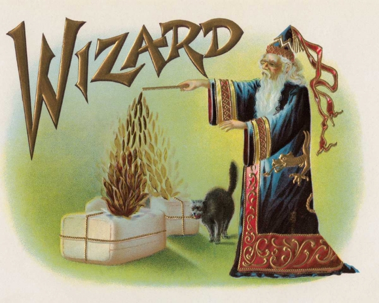 Picture of WIZARD