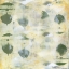 Picture of CLOVER II