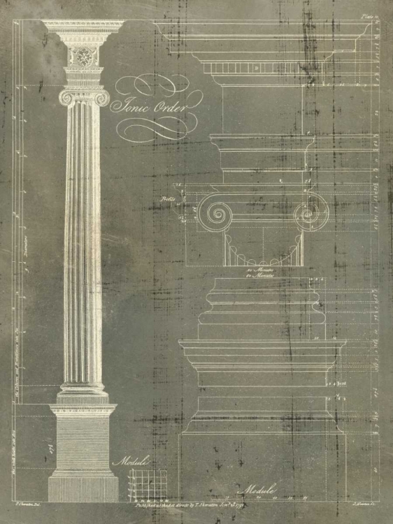 Somerset House - Images. COLUMN BLUEPRINT II