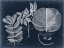 Picture of FOLIAGE ON NAVY I