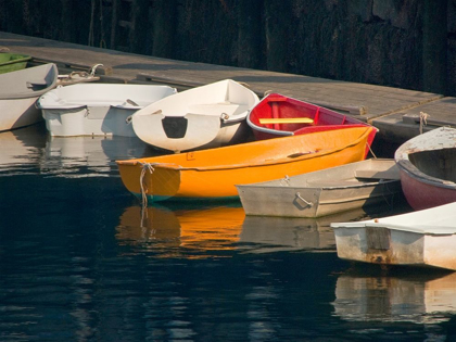 Picture of ROW BOATS I