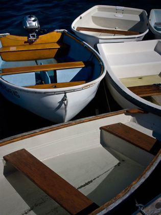 Picture of ROW BOATS V
