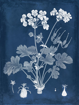 Picture of BOTANICAL IN INDIGO III