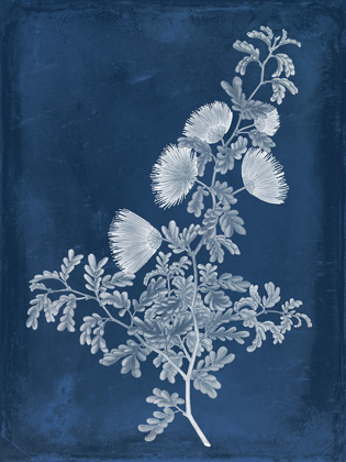 Picture of BOTANICAL IN INDIGO IV