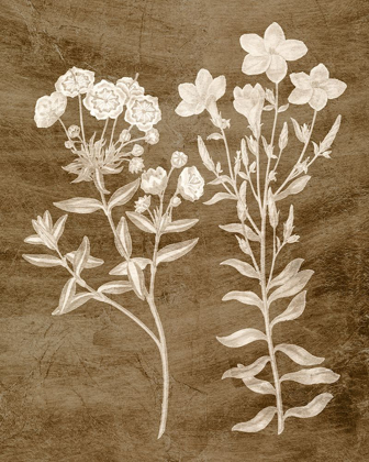 Picture of BOTANICAL IN TAUPE I