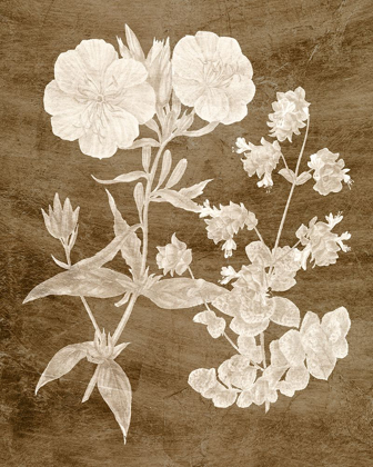 Picture of BOTANICAL IN TAUPE II