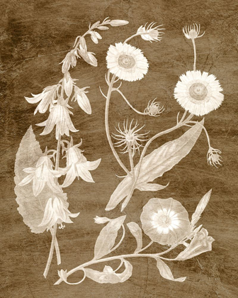 Picture of BOTANICAL IN TAUPE III