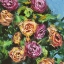 Picture of ROSES IN SUNLIGHT I