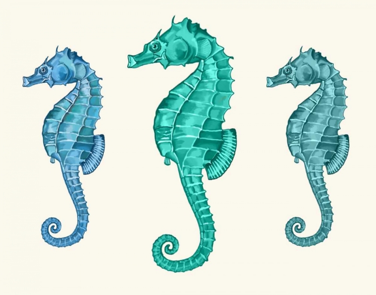 Picture of SEAHORSE TRIO