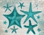 Picture of GREEN STARFISH COLLECTION