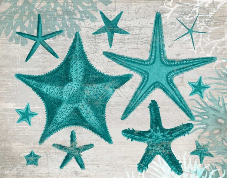 Picture of GREEN STARFISH COLLECTION