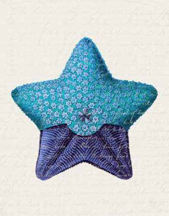 Picture of STARFISH IN SHADES OF BLUE A