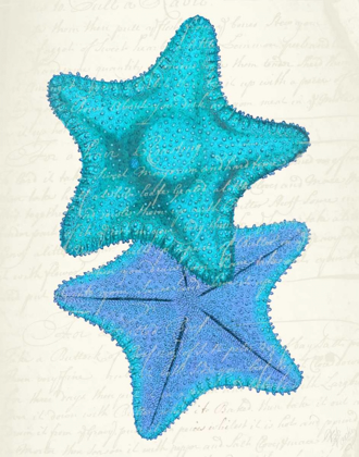 Picture of STARFISH IN SHADES OF BLUE B