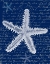 Picture of WHITE STARFISH ON BLUE B