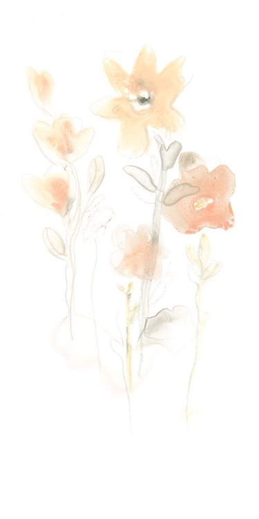 Picture of CORSAGE II