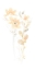 Picture of CORSAGE III