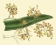 Picture of ANTIQUE ORCHID STUDY II