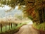 Picture of AUTUMN ON A COUNTRY ROAD