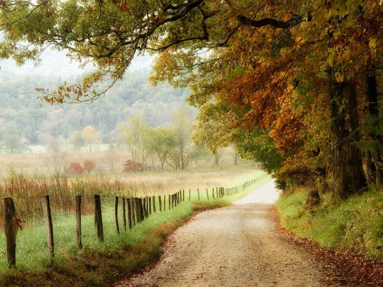 Picture of AUTUMN ON A COUNTRY ROAD