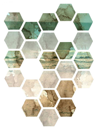 Picture of HEXOCOLLAGE I