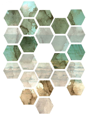 Picture of HEXOCOLLAGE II