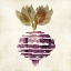 Picture of BEET IIII
