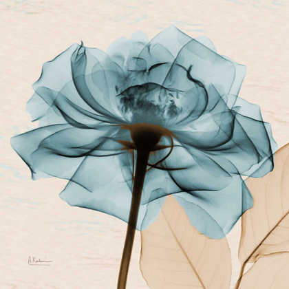Picture of TEAL ROSE