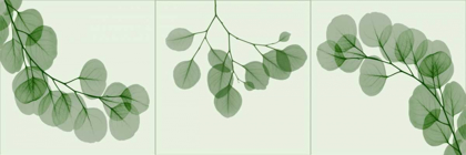 Picture of LEAF TRIPLE IN GREEN