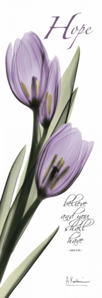 Picture of TULIPS IN PURPLE - HOPE