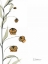 Picture of SANDERSONIA BOUQUET  IN BLOOM
