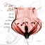 Picture of DANCING TULIP IN RED - MON CHER