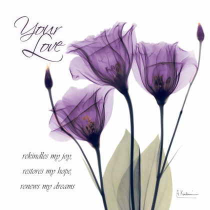 Picture of YOUR LOVE - PURPLE TULIP