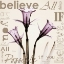 Picture of BELIEVE - VIOLET DAFFODILS