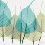 Picture of BODHI TREE