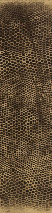 Picture of ANIMAL PRINT2