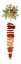 Picture of CARROT I