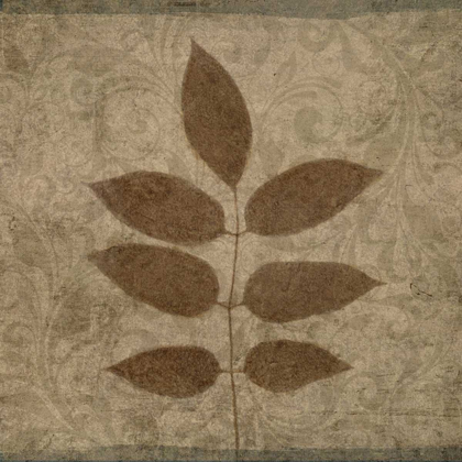 Picture of VINTAGE LEAVES IV