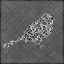 Picture of BROCADE BIRD II