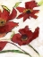 Picture of RED FLORA C2