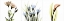 Picture of MULTI-COLOR FLORAL TRYP TYCH I