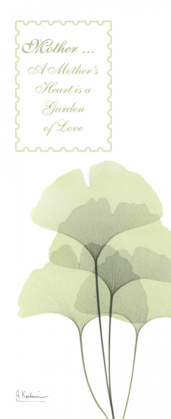 Picture of GINKGO - MOTHER