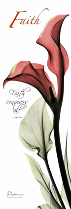 Picture of CALLA LILY IN RED - FAITH
