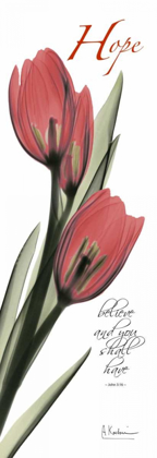 Picture of TULIPS IN RED  - HOPE