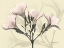 Picture of OLEANDER IN PINK ON BEIGE